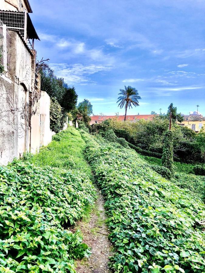 Villa Campana - Bastia Centre المظهر الخارجي الصورة